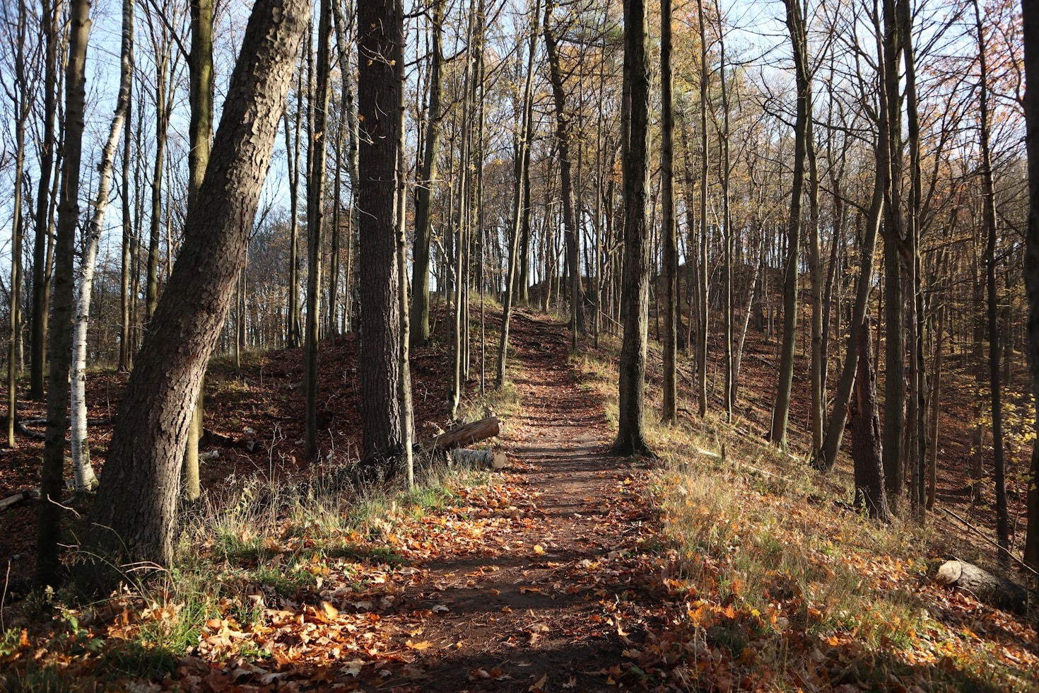Essential Skills Every Trailman Should Learn